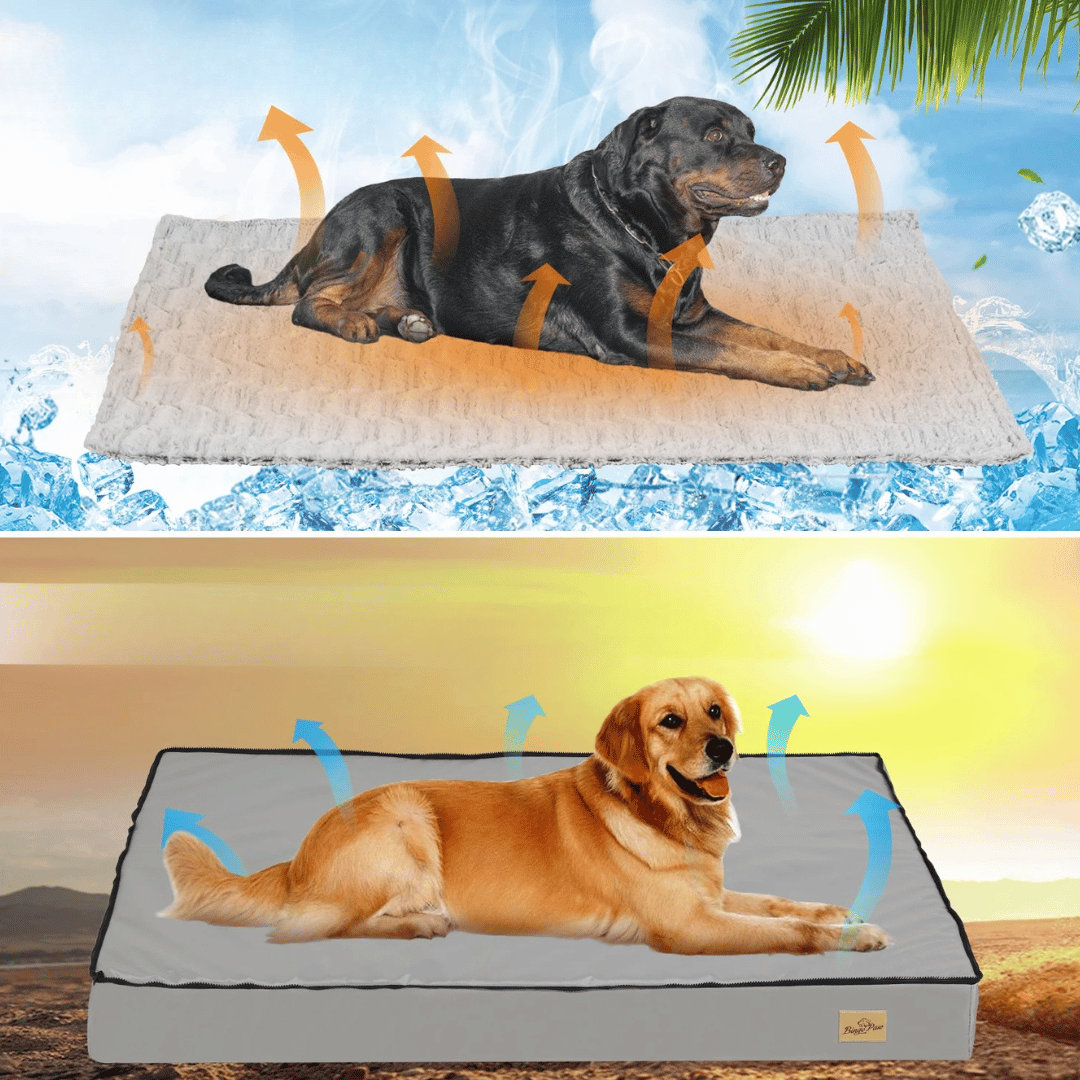 犬用快適ベッド – 休息と回復に最適