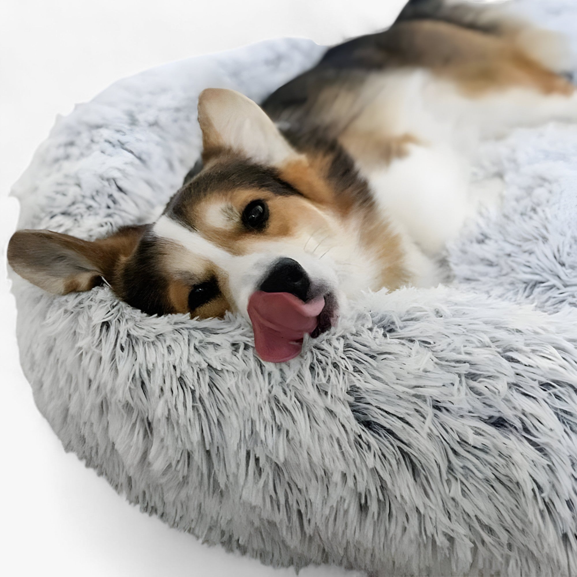 Καταπραϋντικό Κρεβάτι Για Ζώα – Άνετη Άνεση Και Αναζωογονητικός Ύπνος