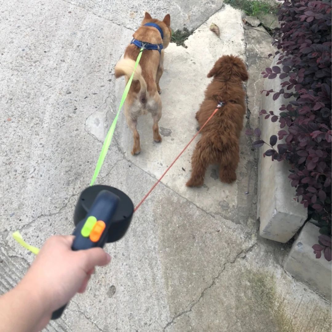 Αναδιπλούμενος λουρί για σκύλους – Με LED φακό και διανομέα σακουλών