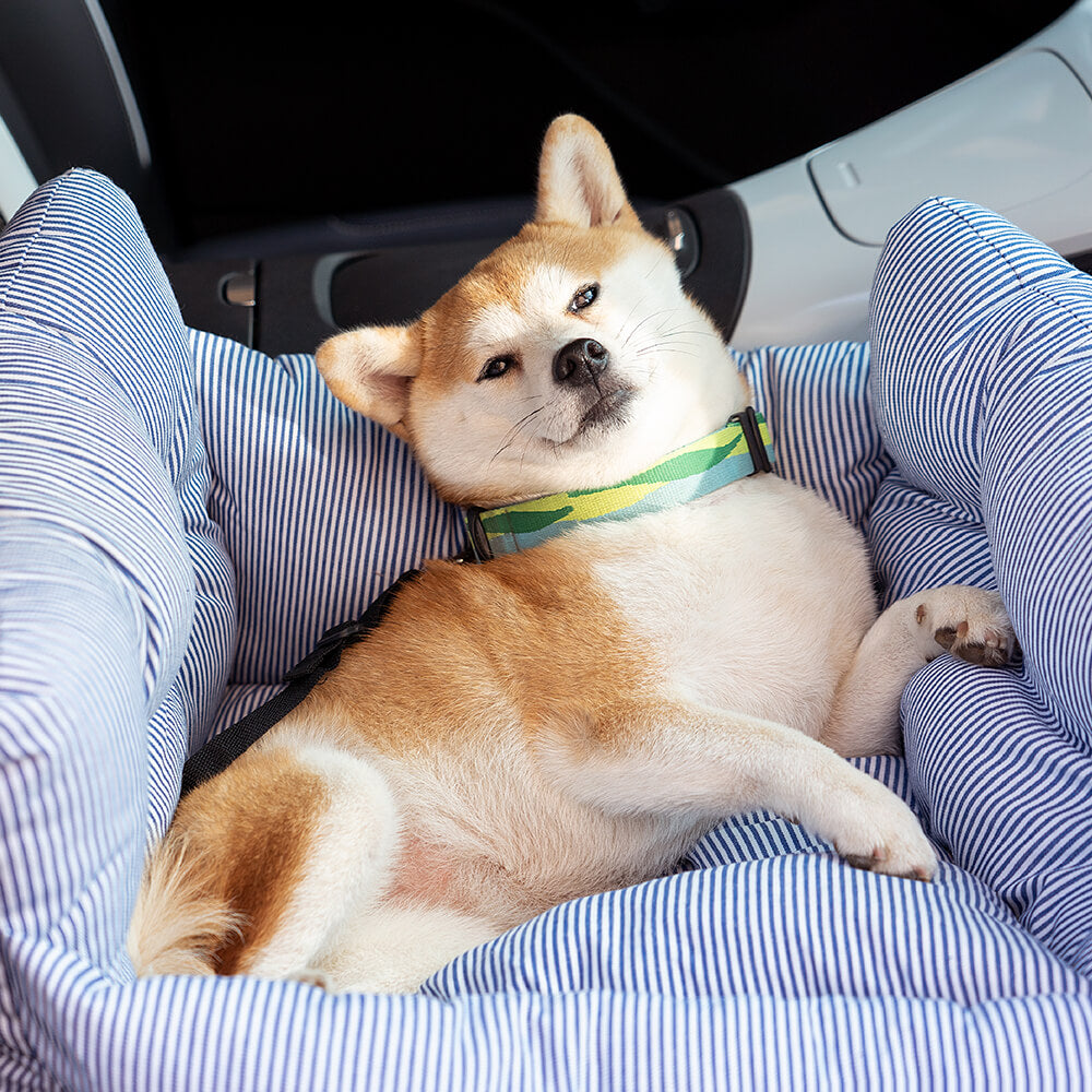 Autositz für Hunde – Komfort und Sicherheit auf Reisen