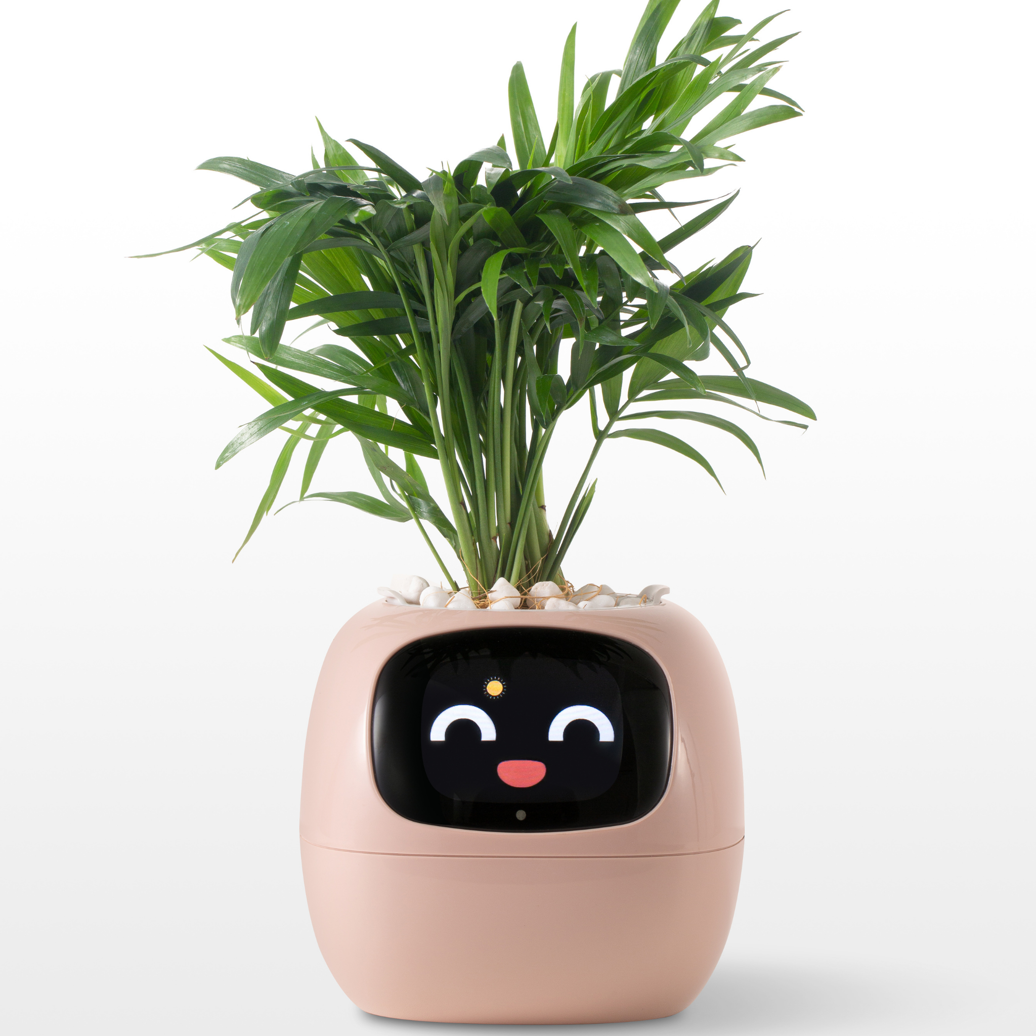 Emoji Vaso de Flores – Decoração Original e Divertida