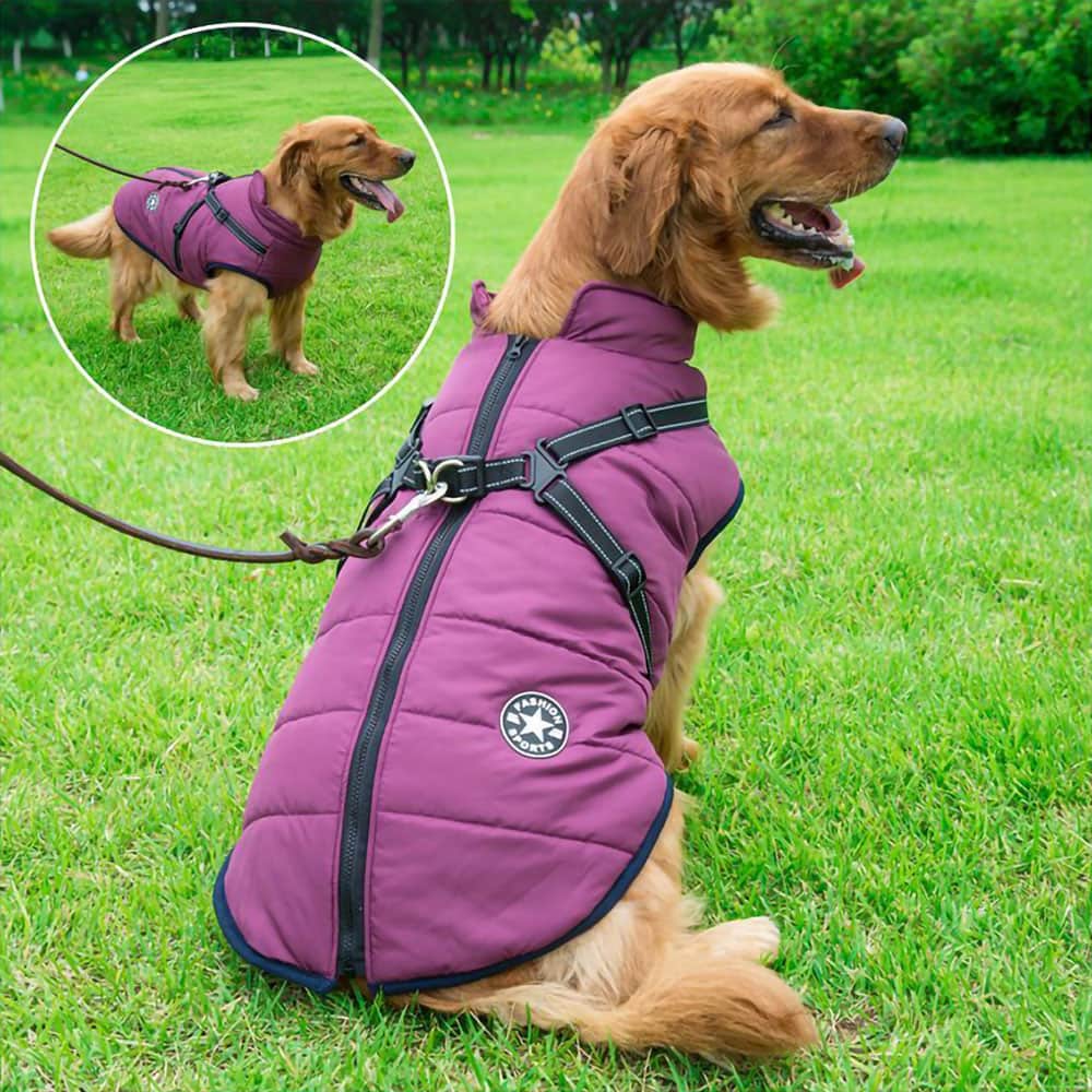 Casaco Impermeável para Cão - Proteção & Estilo