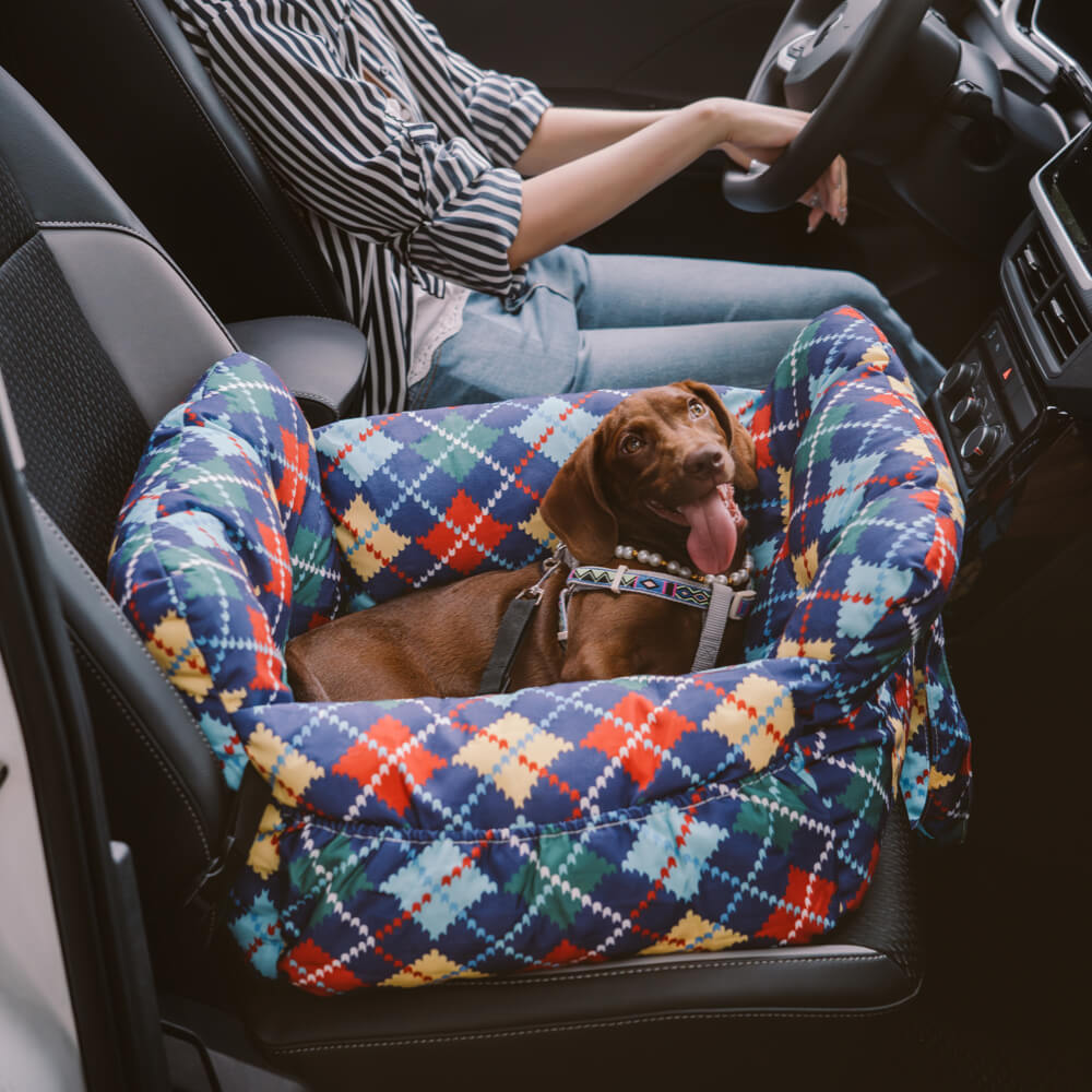 Autositz für Hunde – Komfort und Sicherheit auf Reisen