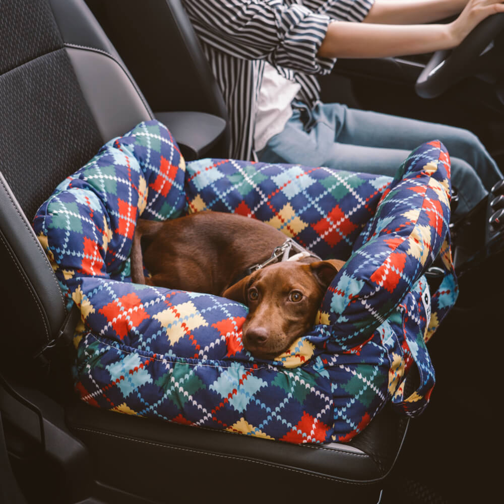 Autositz für Hunde – Komfort und Sicherheit auf Reisen