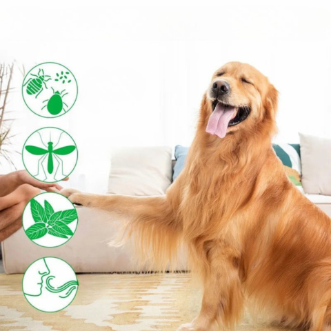 Spray Anti-Parasitaire Naturel Longue Durée — Protection Efficace Au Quotidien