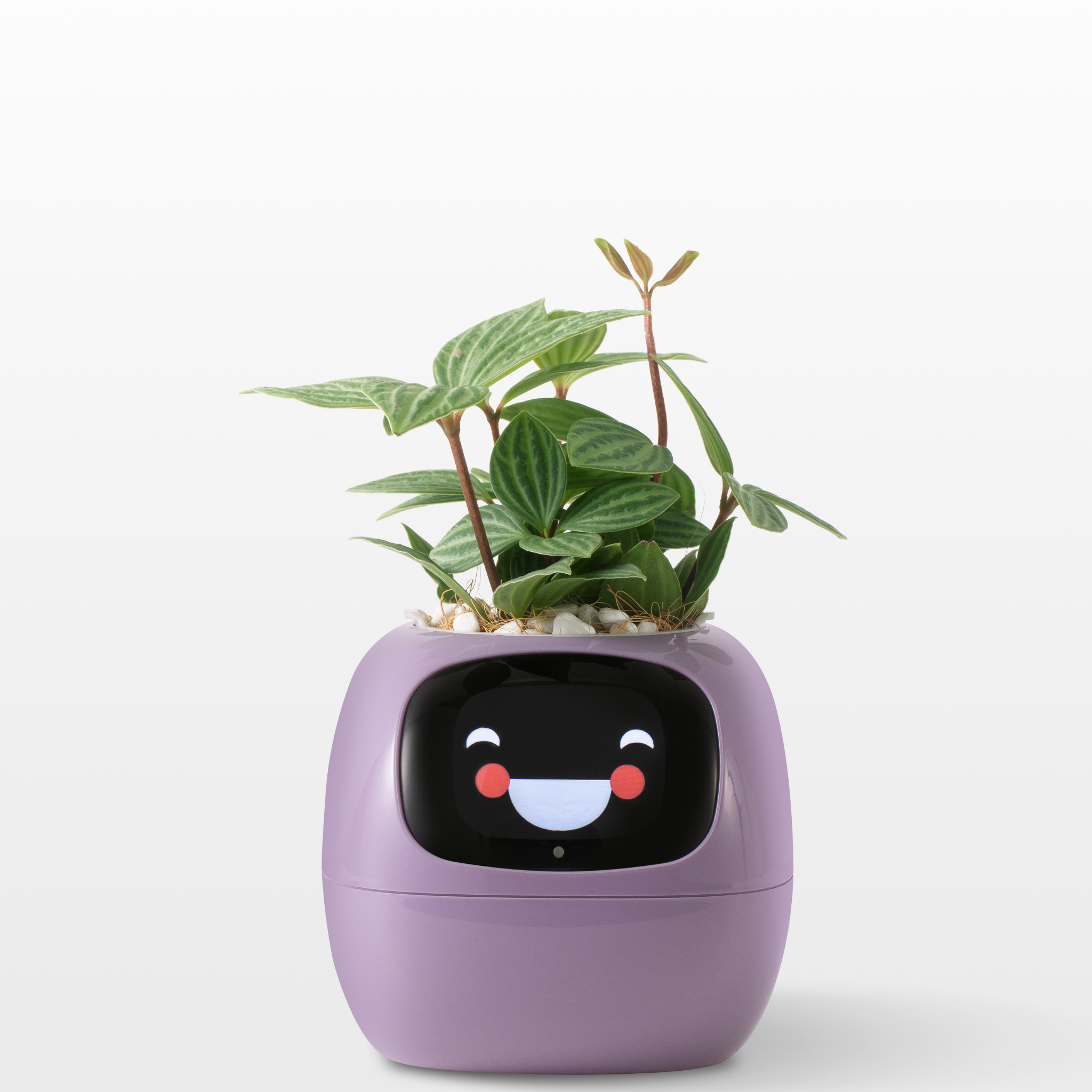 Emoji Vaso de Flores – Decoração Original e Divertida