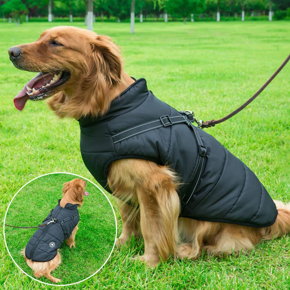 Casaco Impermeável para Cão - Proteção & Estilo