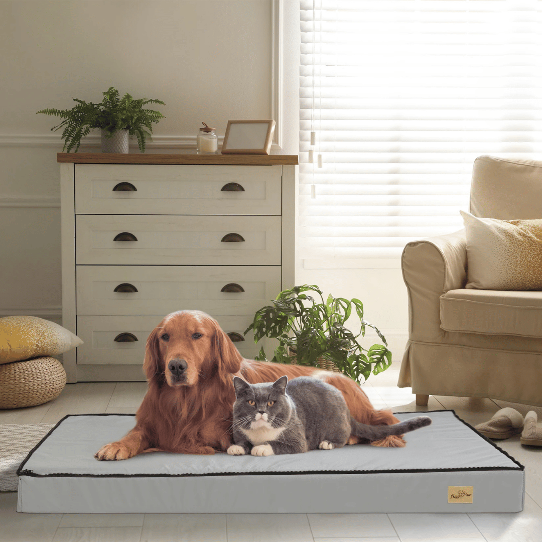 犬用快適ベッド – 休息と回復に最適