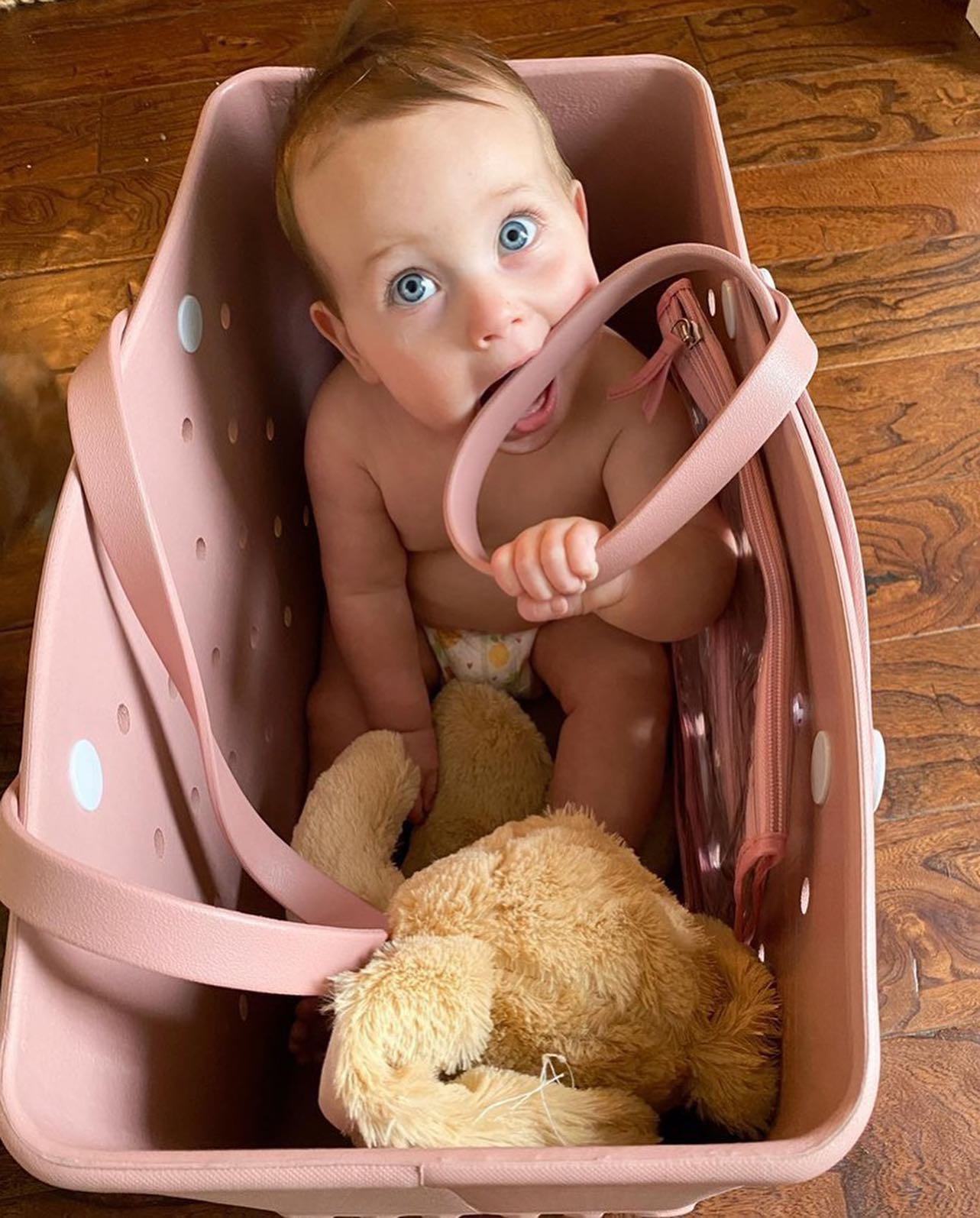 Saco de praia rígido - Design colorido e grande capacidade