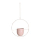 Wall Suspension – Industrial and Modern Elegance 