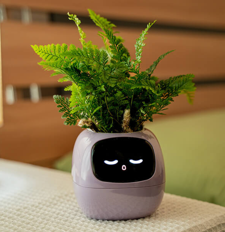 Emoji Blomsterkrukke – Original og Sjov Dekoration 