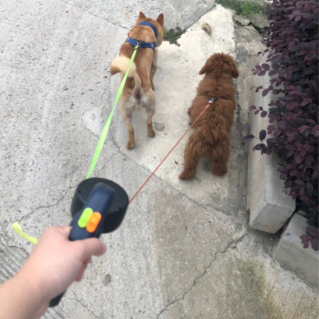 Correa Retráctil Para Perros – Con Luz LED Y Dispensador De Bolsas 