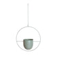 Wall Suspension – Industrial and Modern Elegance 