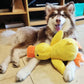 Soothing Duck Toy for Dog – Play and Relaxation Companion 