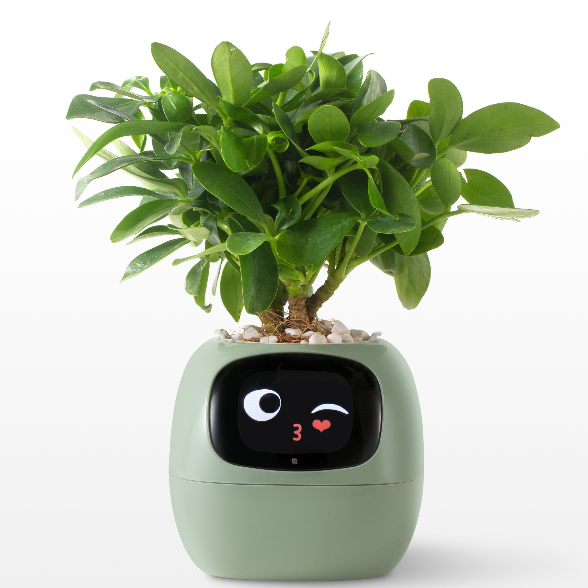 Emoji Vaso de Flores – Decoração Original e Divertida 