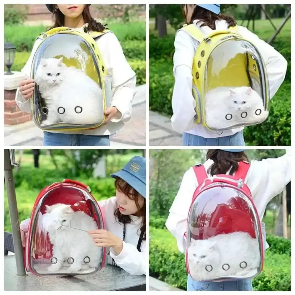 Sac À Dos Bulle Pour Chat – Confort Et Sécurité En Voyage