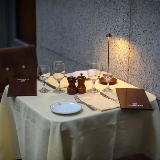 Lampada da Tavolo LED – Senza Fili e Ricaricabile 