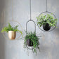 Wall Suspension – Industrial and Modern Elegance 