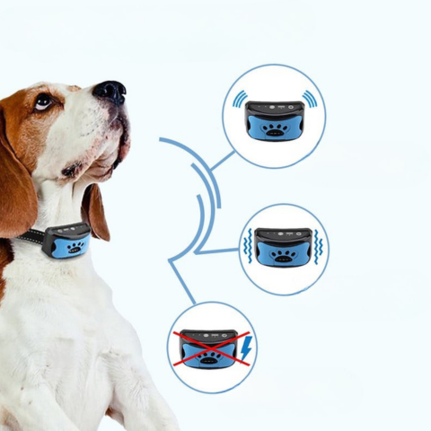 Anti-Bell-Halsband für Hunde — Sanftes und effektives Training 