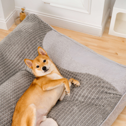 Grote Kussen Voor Honden – Optimaal Comfort En Zachte Ondersteuning 