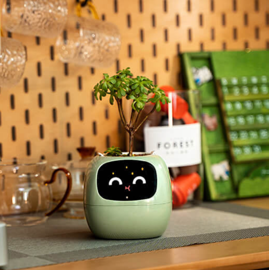 Emoji Blomsterkrukke – Original og Sjov Dekoration 