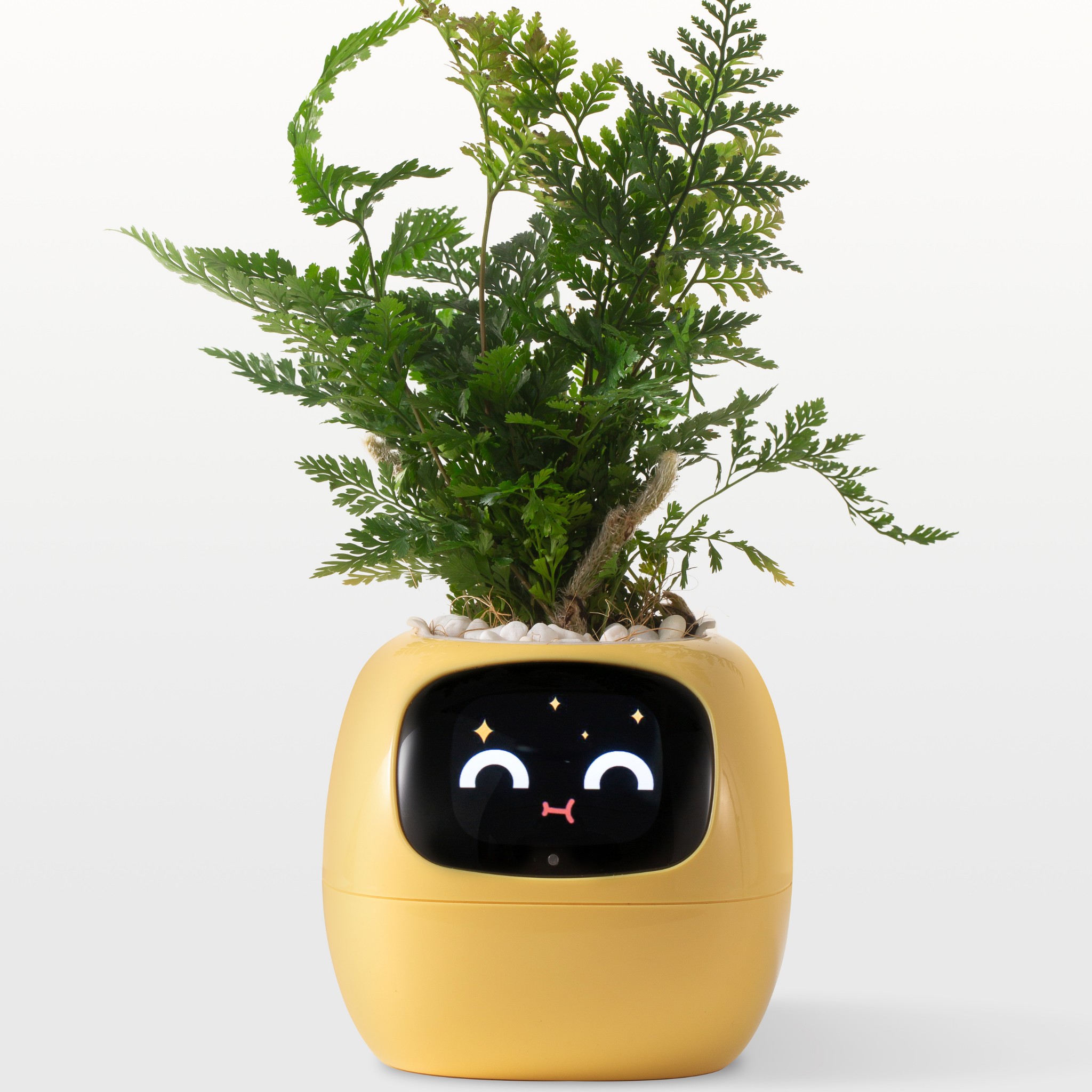 Emoji Vaso de Flores – Decoração Original e Divertida 