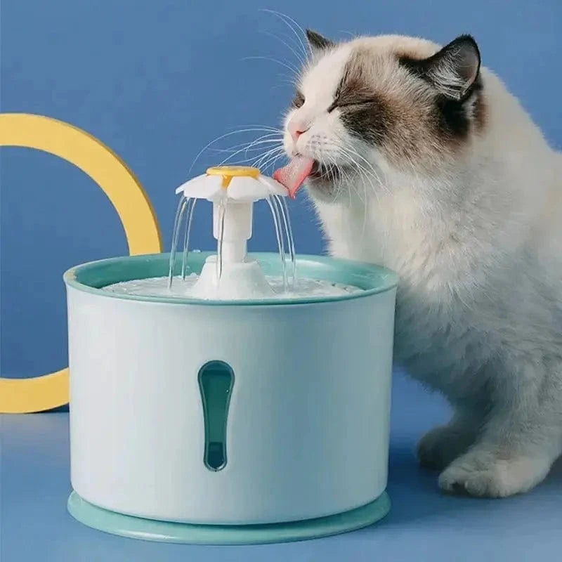 Fontaine À Eau Pour Chat Design – Hydratation Et Élégance