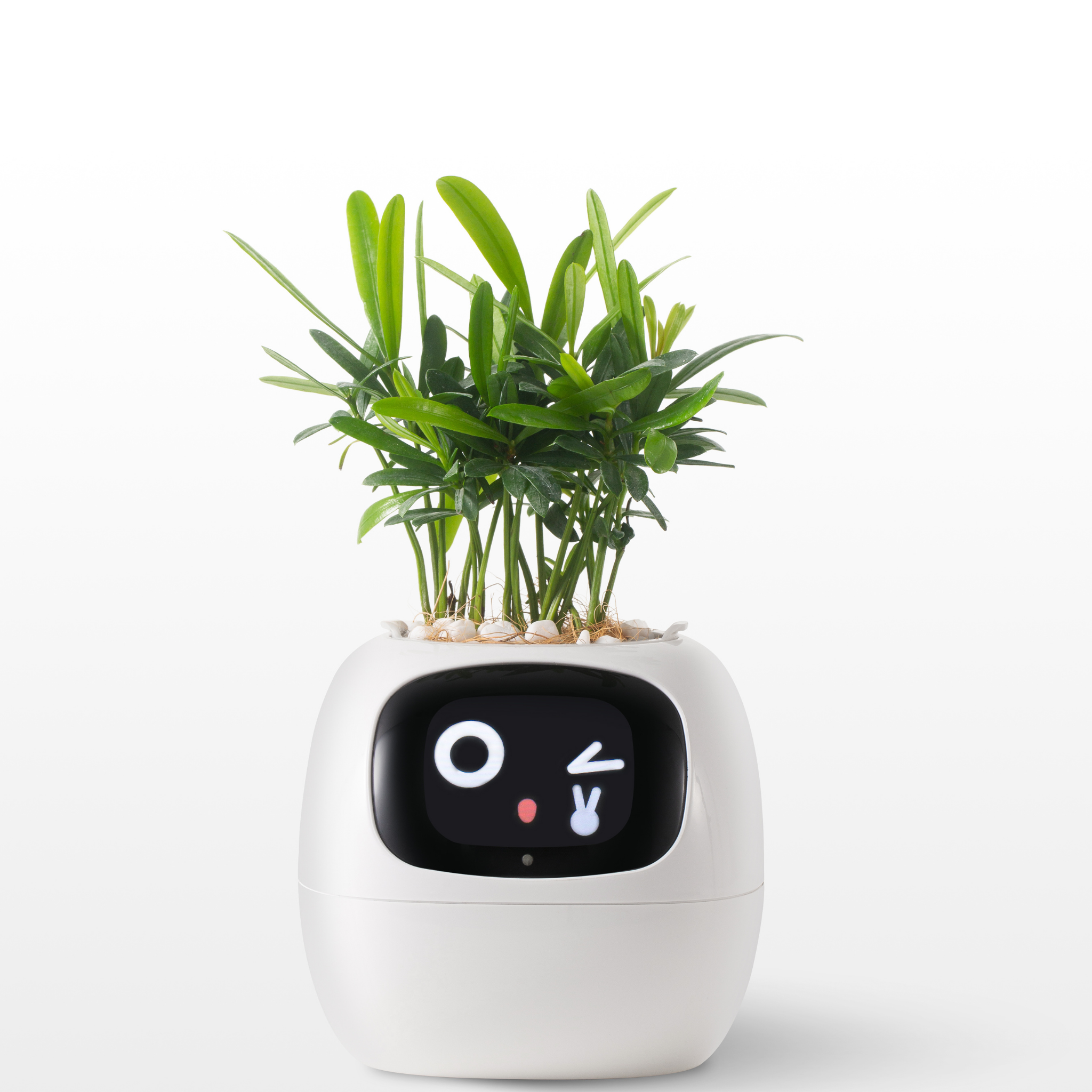 Emoji Vaso de Flores – Decoração Original e Divertida 