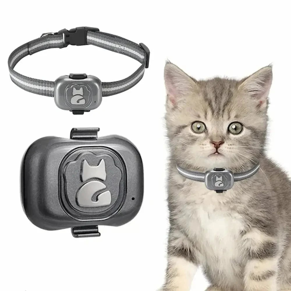 Collare GPS per gatti – Localizzazione facile e affidabile 