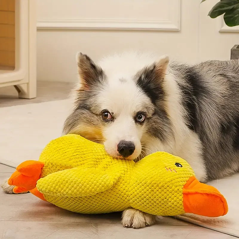 Soothing Duck Toy for Dog – Play and Relaxation Companion 